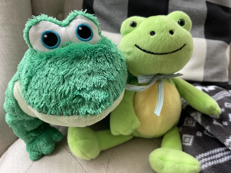 Cute Frog Plush Toy Set – 2 Adorable Frogs 🐸💚